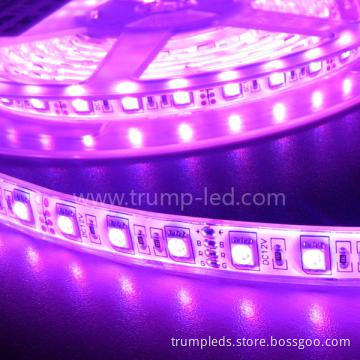 High Lumen Waterproof 3528/5050 LED Strip Light